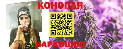 стаф Шебекино