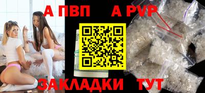 стаф Шебекино