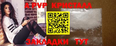 стаф Шебекино