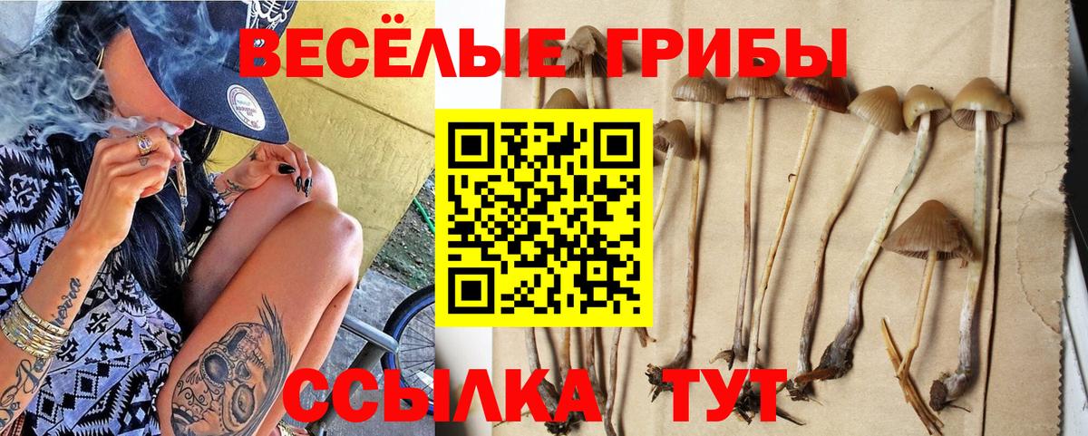 Псилоцибиновые грибы ЛСД Белгород