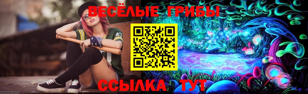 закладка  Галлюциногенные грибы MAGIC MUSHROOMS  Псилоцибиновые грибы Magic Shrooms  Вход с VPN  Белгород 